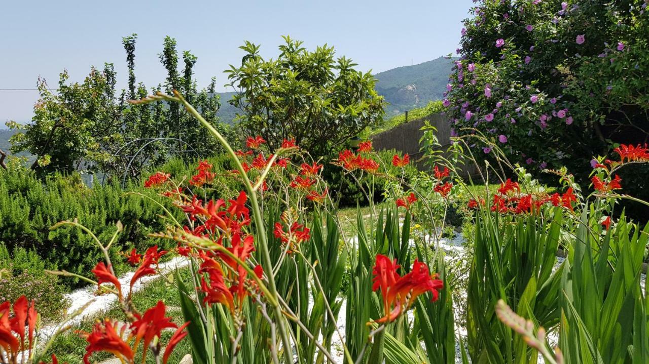 Villa Claudia 퀼라노 외부 사진